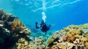 Diving