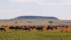 Kenya