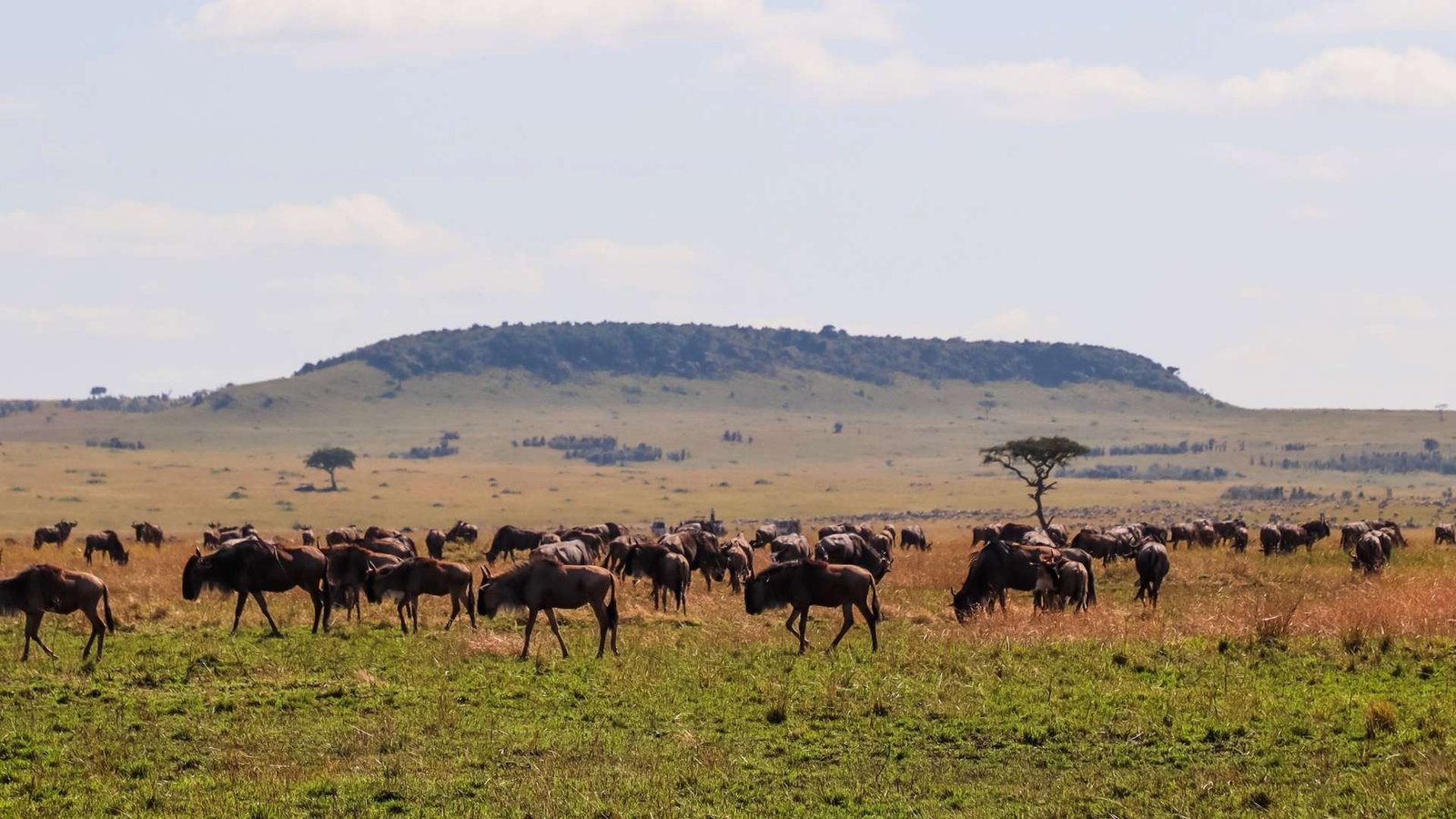 Kenya