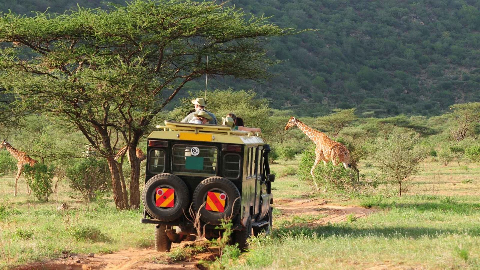 Safari