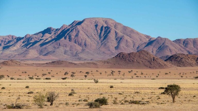 The Africa Myth