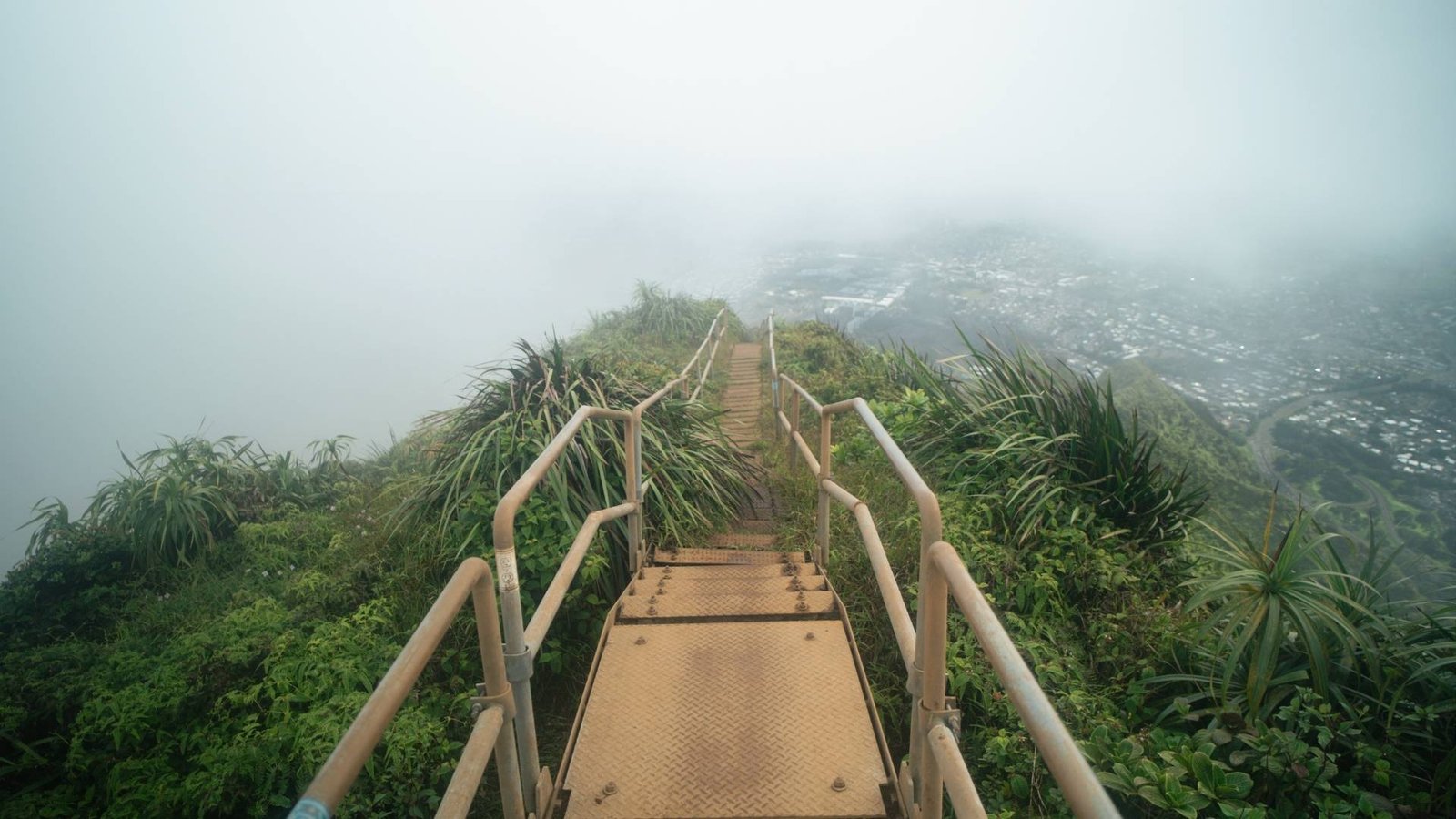 Haiku Stairs, Oahu — 4,000 Steps, a WWII Secret and the Trail They Could Not Close