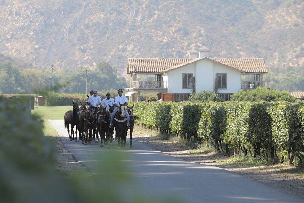 Colchagua Valley: Chile's wine country beyond Casablanca