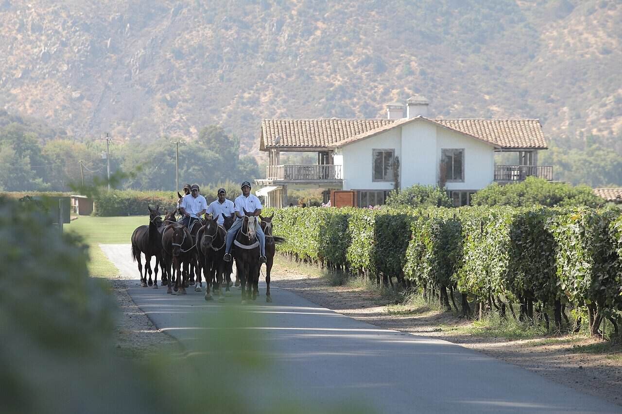 Colchagua Valley: Chile’s wine country beyond Casablanca