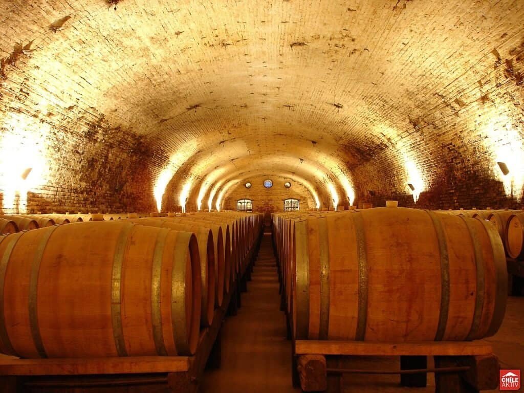 Historic wine cellar with wooden barrels in an underground tunnel, warm lighting, and arched brick c.