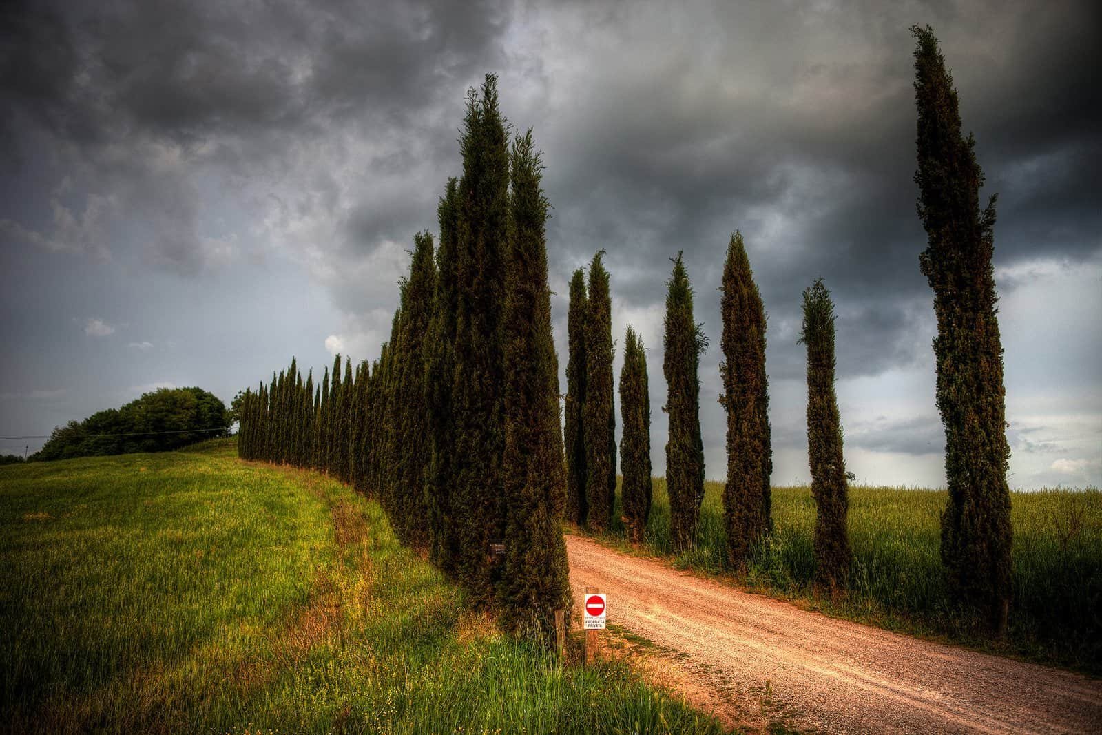 A line of cypress trees on a ridge in the Tuscan countryside